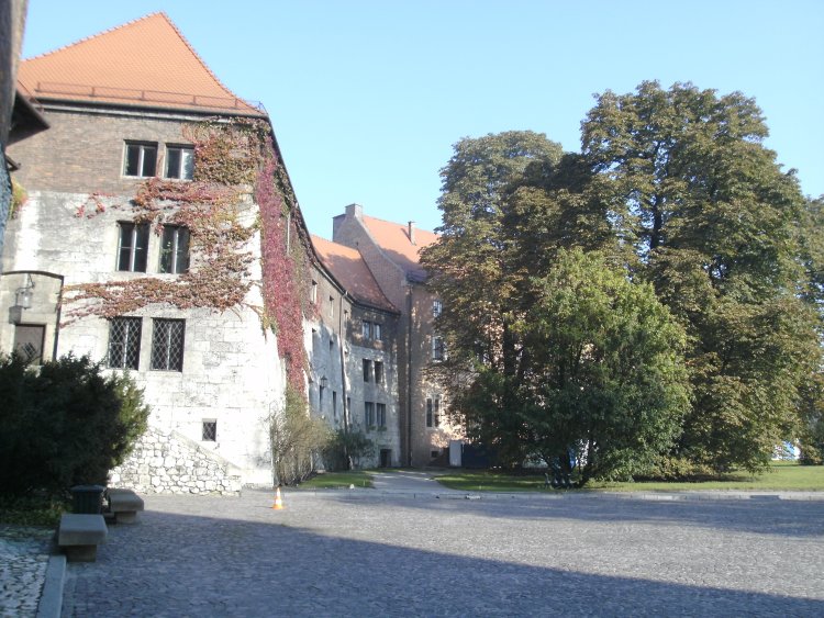 ../previews/063-BILD0088.JPG.medium.jpeg