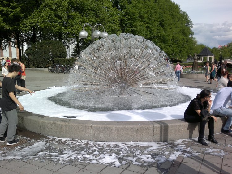 ../previews/015-2013-05-25-369.jpg.medium.jpeg